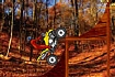 Thumbnail of Quad Extreme Racer