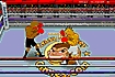 Thumbnail of Hot Blood Boxing