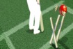 Thumbnail of Cricket Challenge