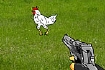 Thumbnail for Cock Shooter
