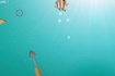 Thumbnail of Shooting Fish