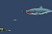 Thumbnail of Mad Shark