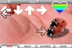 Thumbnail of Ladybug Mating Game