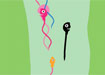 Thumbnail of The Great Sperm Race