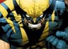 Thumbnail of Wolverine Punch Out